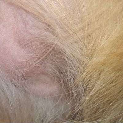 Weiß jemand, was das sein kann?-Beitrag-Bild