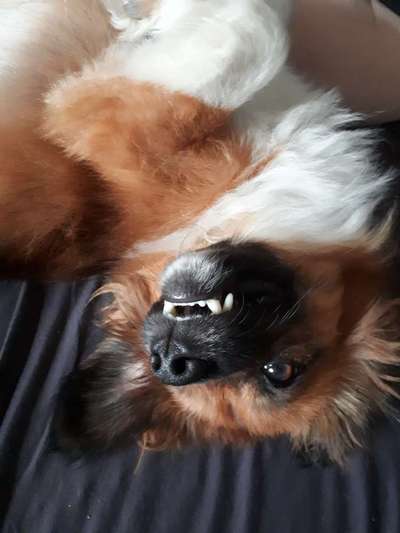 Lieblingsbild :D-Beitrag-Bild