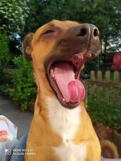 Immer lächeln !-Beitrag-Bild