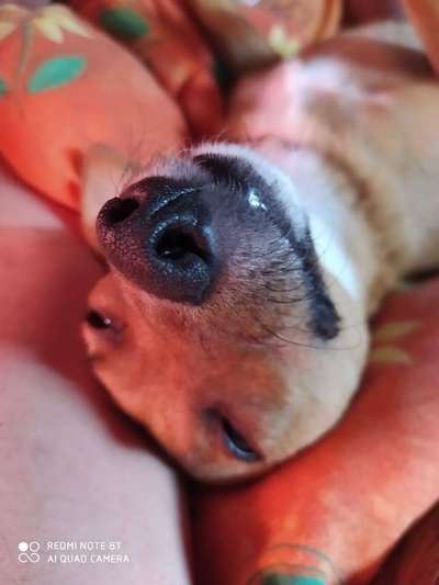 Immer lächeln !-Beitrag-Bild