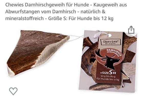 Hund frisst Stoff-Spielzeug-Beitrag-Bild