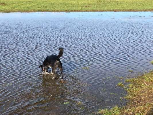 Fotochallenge No. 26                                     Wald und Wiese-Beitrag-Bild