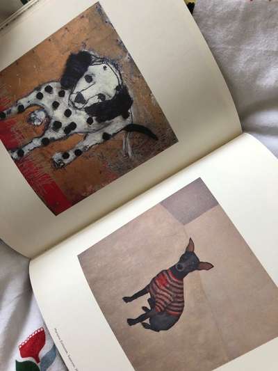 Hunde-Fachliteratur-Beitrag-Bild