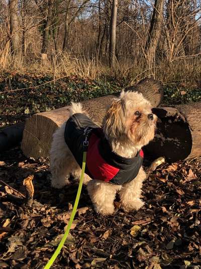 Fotochallenge No. 26                                     Wald und Wiese-Beitrag-Bild