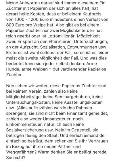 Brachycephale Hunderassen-Beitrag-Bild