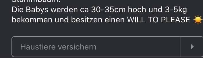 Rassen unsinnig verpaaren-Beitrag-Bild