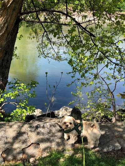 Fotochallenge 27-Beitrag-Bild