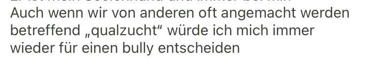 Brachycephale Hunderassen-Beitrag-Bild