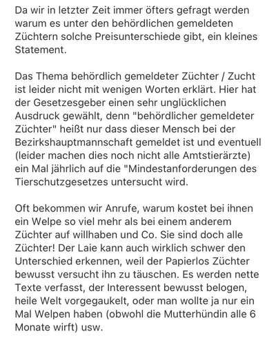 Welpenpreise-Beitrag-Bild