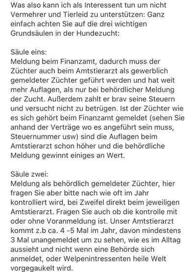 Brachycephale Hunderassen-Beitrag-Bild