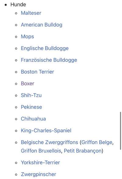 Brachycephale Hunderassen-Beitrag-Bild