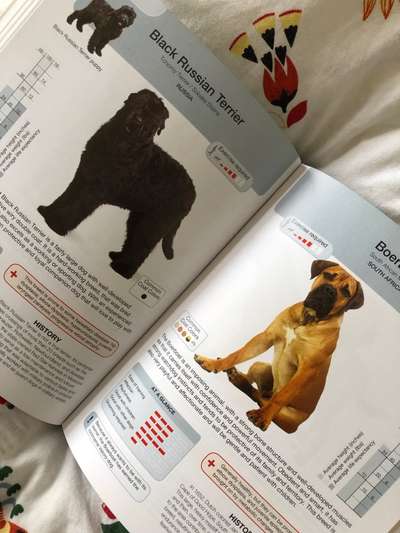 Hunde-Fachliteratur-Beitrag-Bild