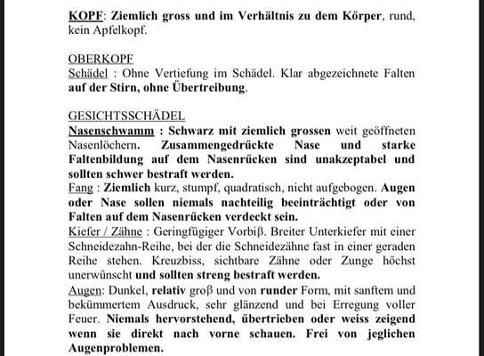 Brachycephale Hunderassen-Beitrag-Bild