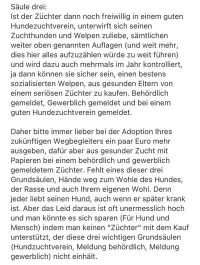 Brachycephale Hunderassen-Beitrag-Bild