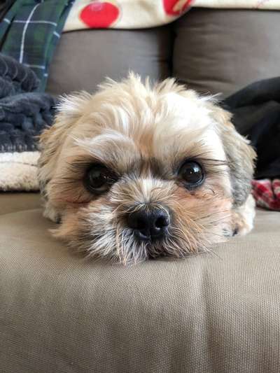 Lieblingsbild :D-Beitrag-Bild