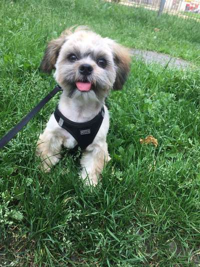 Malteser-Beitrag-Bild