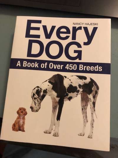 Welche Rasse kann man noch mit guten Gewissen kaufen?-Beitrag-Bild