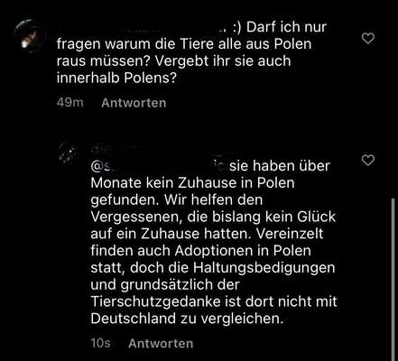 Wieso die Zucht der richtige Weg für mich war?-Beitrag-Bild