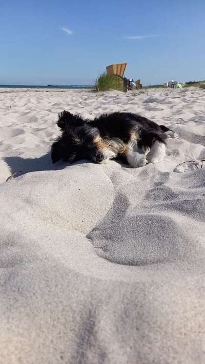 Urlaubsziele in Deutschland-Beitrag-Bild