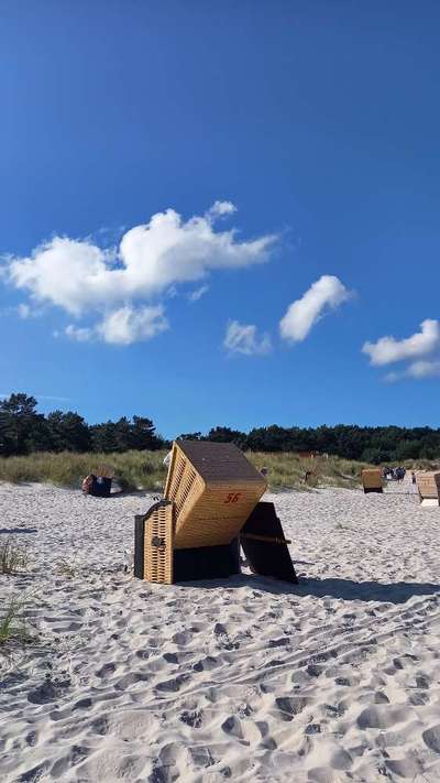 Urlaubsziele in Deutschland-Beitrag-Bild