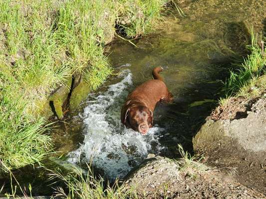 FOTOCHALLANGE NR.71 BADEFREUDE-Beitrag-Bild