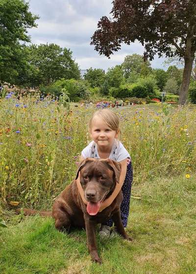 Lieblingsbild-Beitrag-Bild