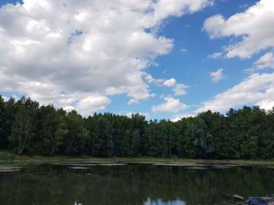 Hundeauslaufgebiet-Militärlöschsee-Bild