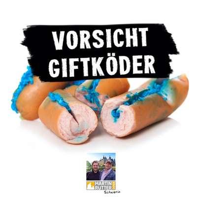 Giftköder-Kurs Giftköder vermeiden-Bild