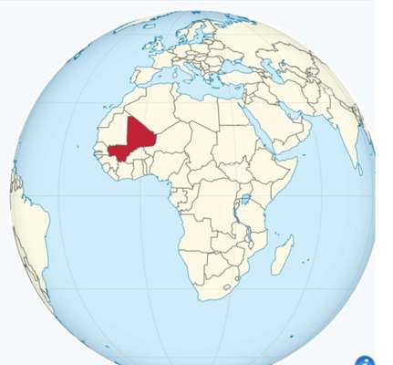 Wie heißt dein Hund?-Beitrag-Bild