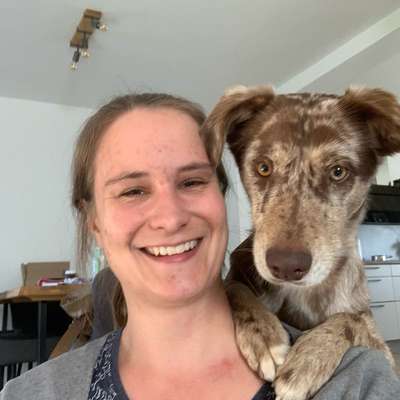Hundetreffen-Gemeinsames Trainieren in Herlinghausen und Warburg-Profilbild