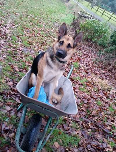 Handy-Foto-Challange Nr.9-Beitrag-Bild