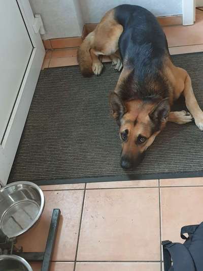 Handy-Foto Challange Nr. 10-Beitrag-Bild