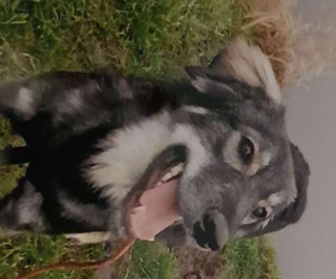 Immer lächeln !-Beitrag-Bild