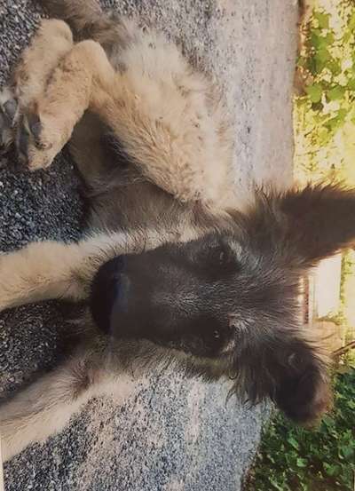 Foto Challenge 3-Beitrag-Bild