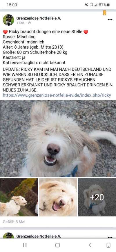 Wo sind die Pflegestellen?-Beitrag-Bild