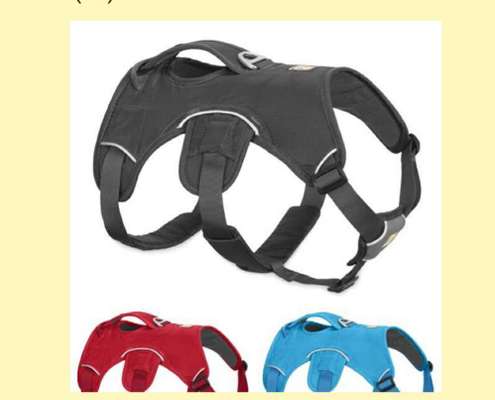 Geschirr Empfehlungen?-Beitrag-Bild