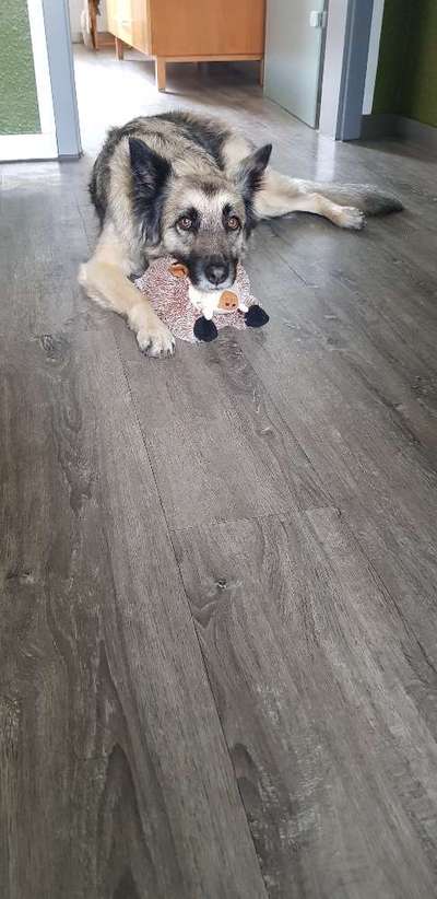 Foto Challenge die Vierte-Beitrag-Bild