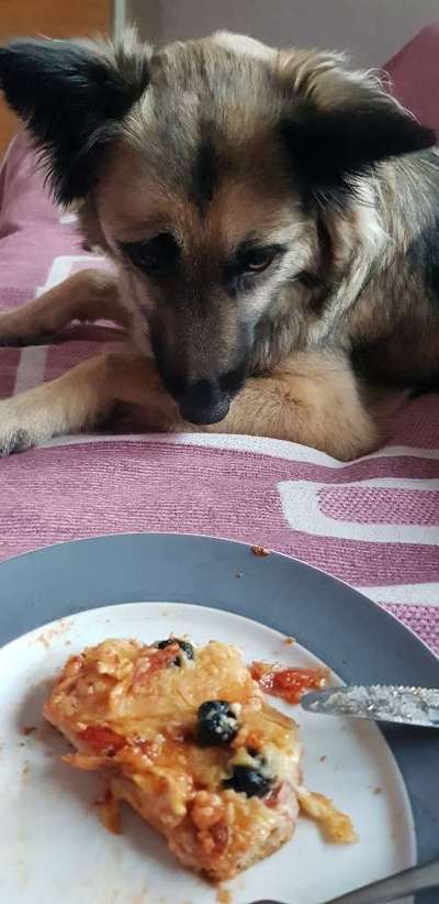 Fotochallenge No. 5-Beitrag-Bild