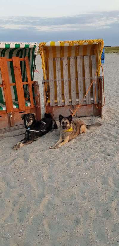 Eure Strandbilder :)-Beitrag-Bild