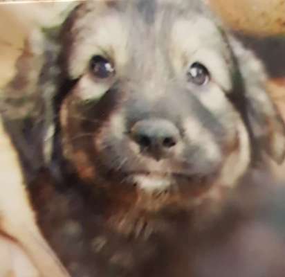 Foto Challenge 3-Beitrag-Bild