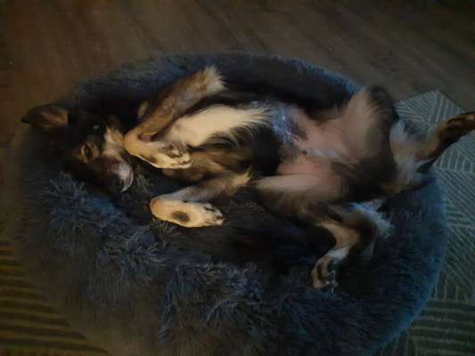 Erfahrung mit Wolkenbett-Beitrag-Bild