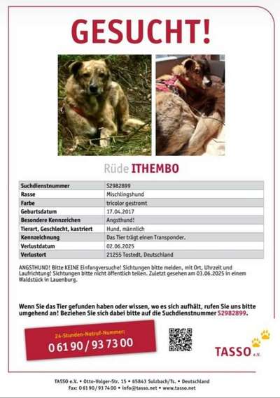 Suchmeldung-Ithembo-Bild