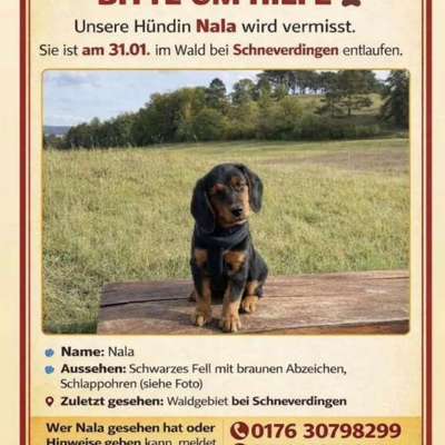 Suchmeldung-Nala-Bild