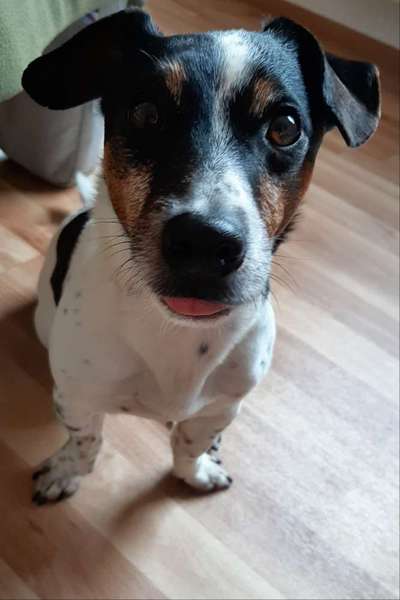 Lieblingsbild :D-Beitrag-Bild