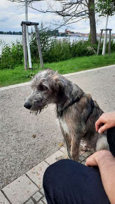 Zeigt her eure Kolosse!-Beitrag-Bild