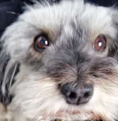 Dogorama Photo Challenge - Details Ganz nah-Beitrag-Bild