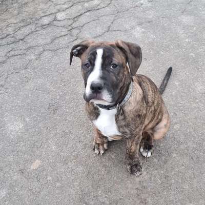 Zeigt mir eure Lieblingsfotos ♡♡-Beitrag-Bild