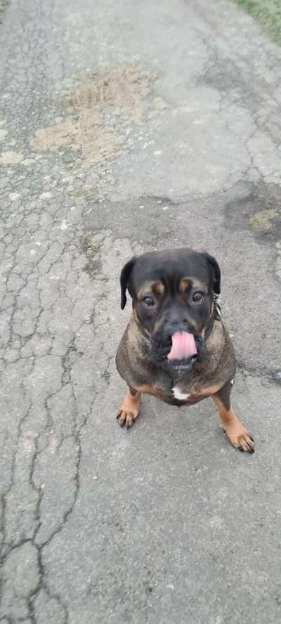 Zeigt mir eure Lieblingsfotos ♡♡-Beitrag-Bild