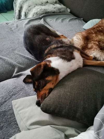 Die unbequemsten und lustigsten Schlafpositionen-Beitrag-Bild