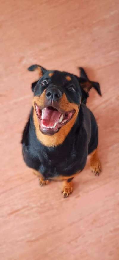 Lieblingsbild-Beitrag-Bild